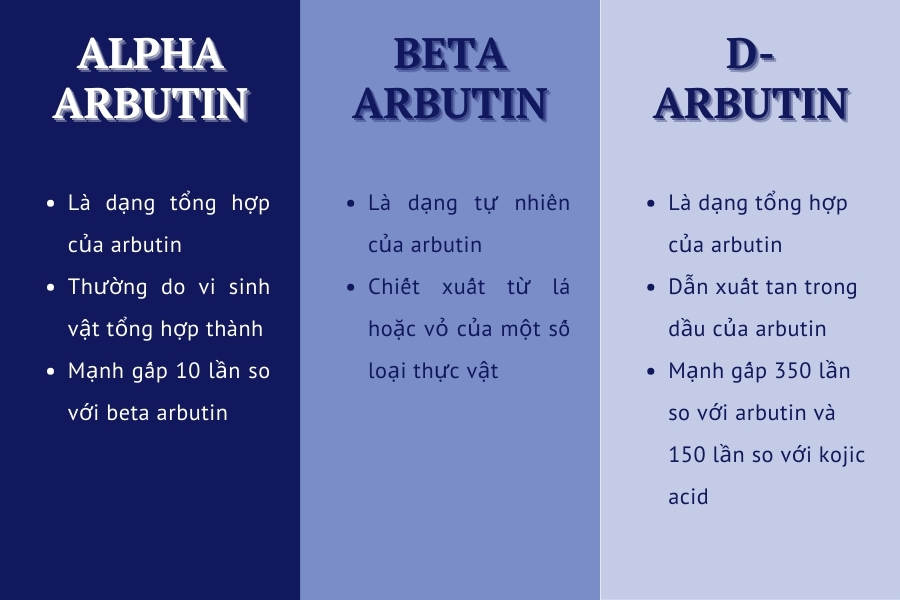 Cac-dang-hoat-chat-arbutin-pho-bien