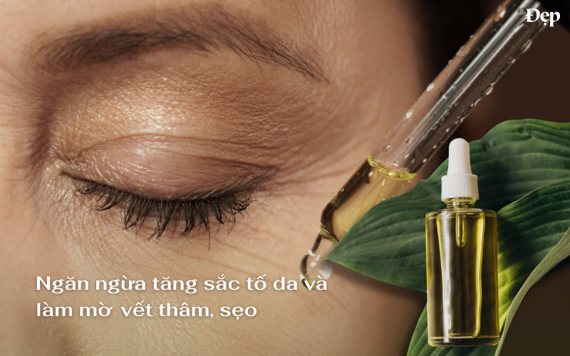 cong-dung-cua-arbutin-trong-cham-soc-da-mat