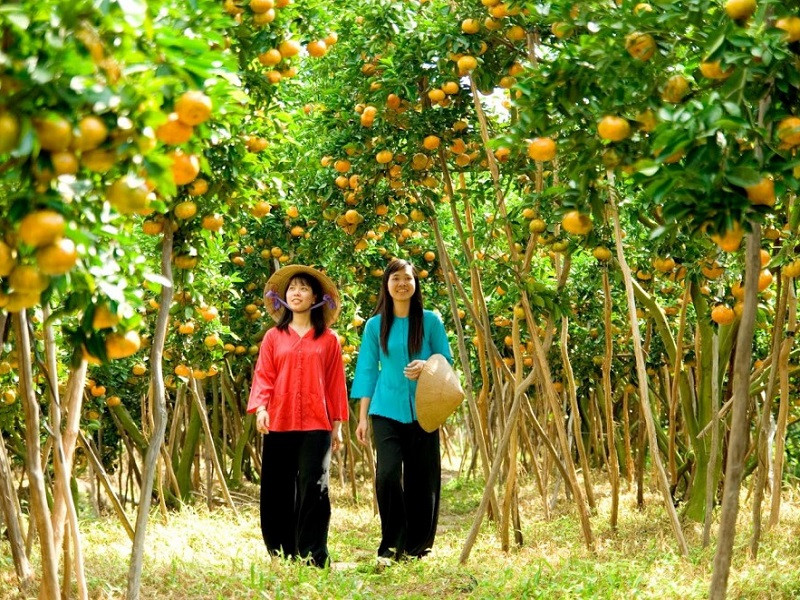 kham-pha-vuon-trai-cay-My-Khanh-du-lich-Can-Tho