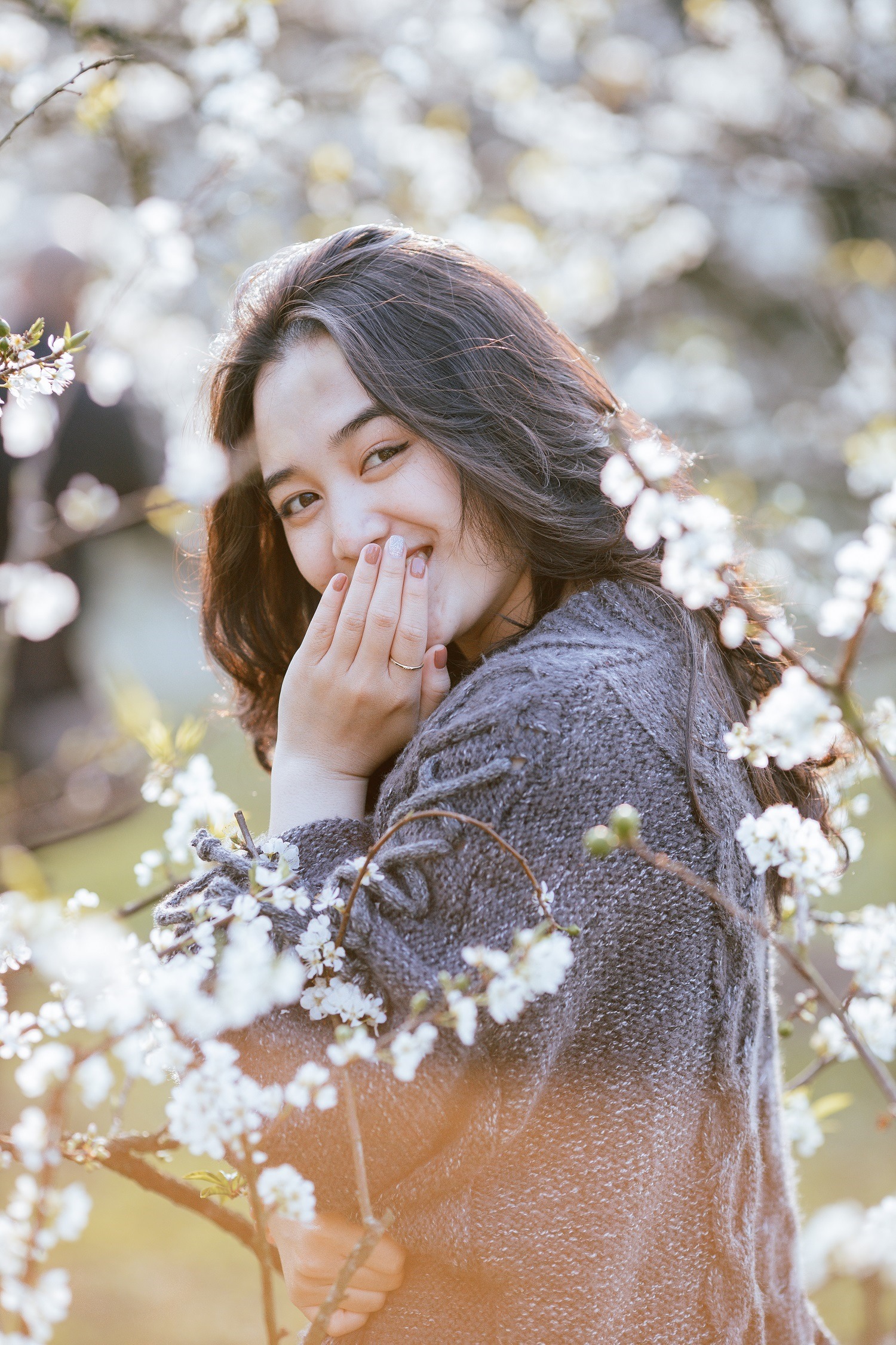 cẩm nang du lịch mộc châu chi tiết