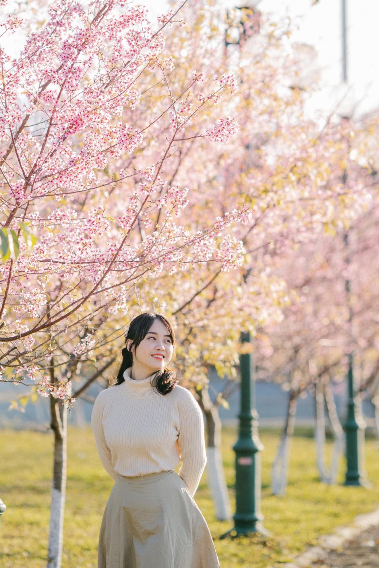 mùa hoa mận mộc châu tháng mấy