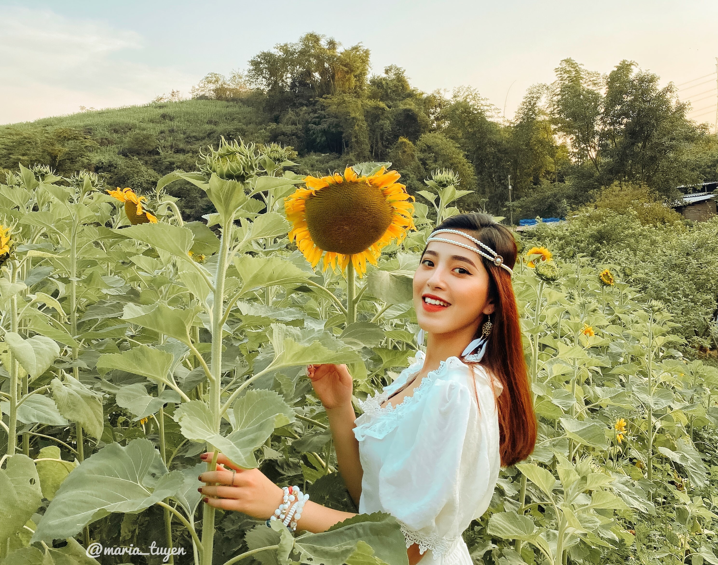 cẩm nang du lịch mộc châu chi tiết nhất cho người đi lần đầu - 7