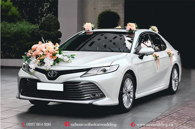 xe cưới phổ thông